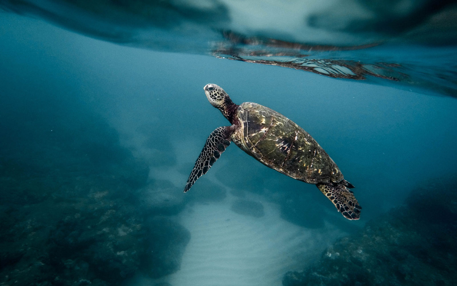 1come-on-aussies-do-our-bit-for-the-planet